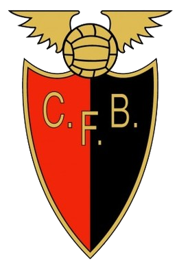 CF賓菲卡logo