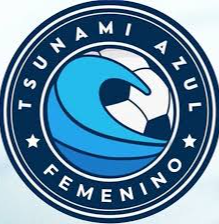 藍色海嘯女足logo