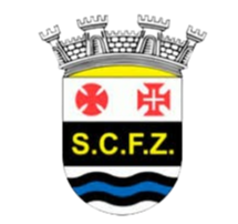 費雷拉澤澤雷logo