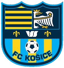 FC科希策女足logo