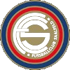 FC薩爾費爾德logo